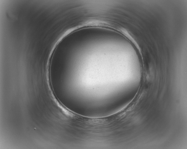 X0000076031437200609221042