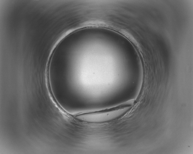 X0000076031440200609221042