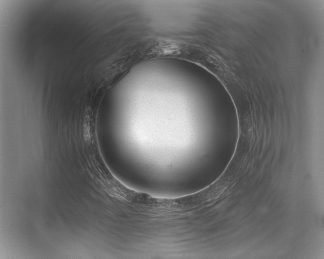 X0000076031442200609221041