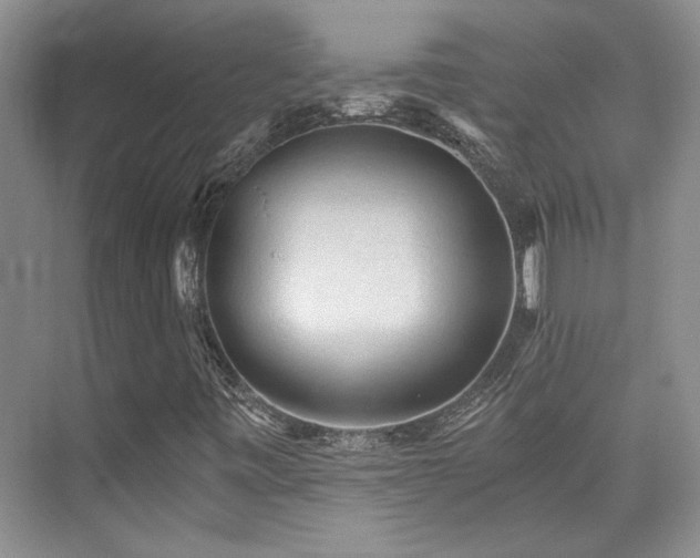 X0000076031443200609221041