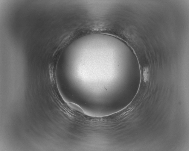 X0000076031444200609221041