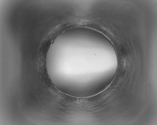 X0000076031447200609221041