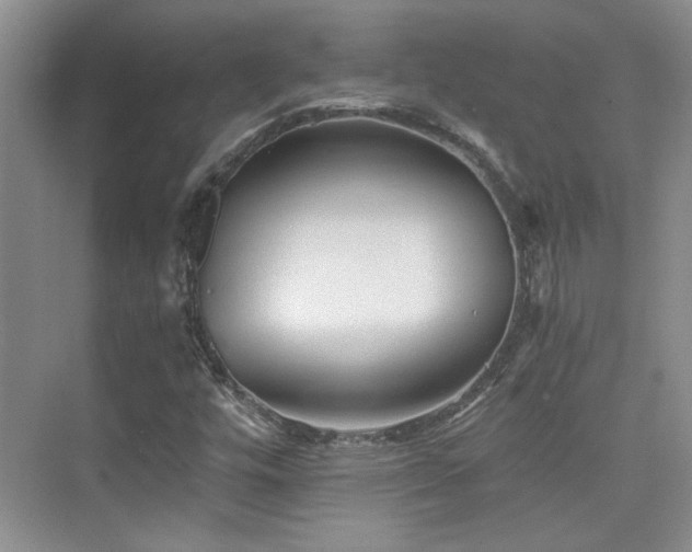 X0000076031448200609221041