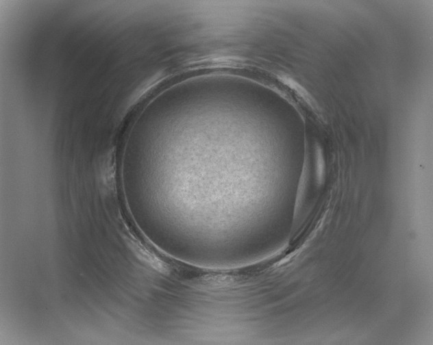 X0000076031450200609221041