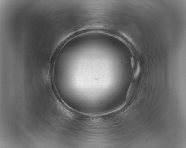 X0000076031452200609221041
