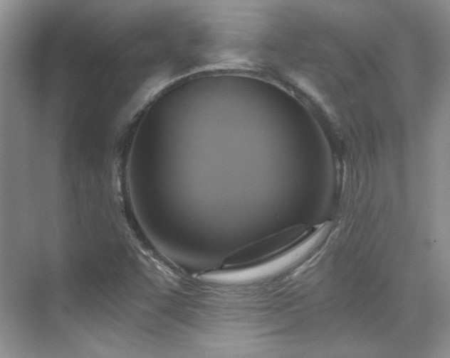 X0000076031455200609221041