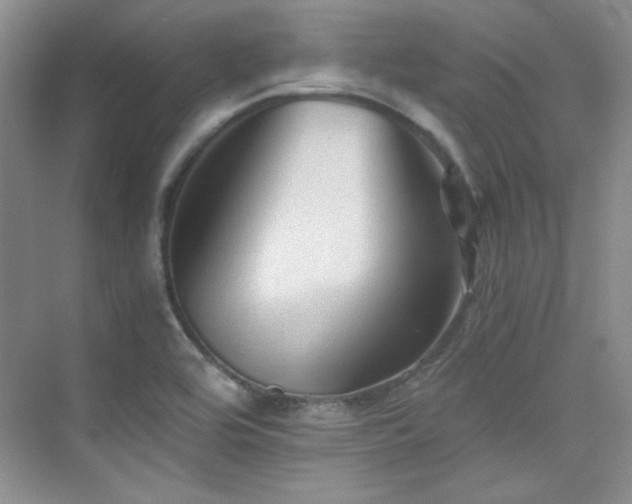 X0000076031464200609221041