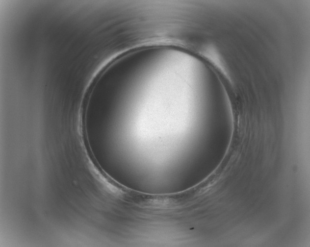 X0000076031468200609221041