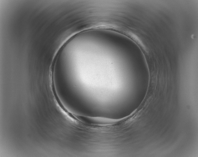 X0000076031476200609221041