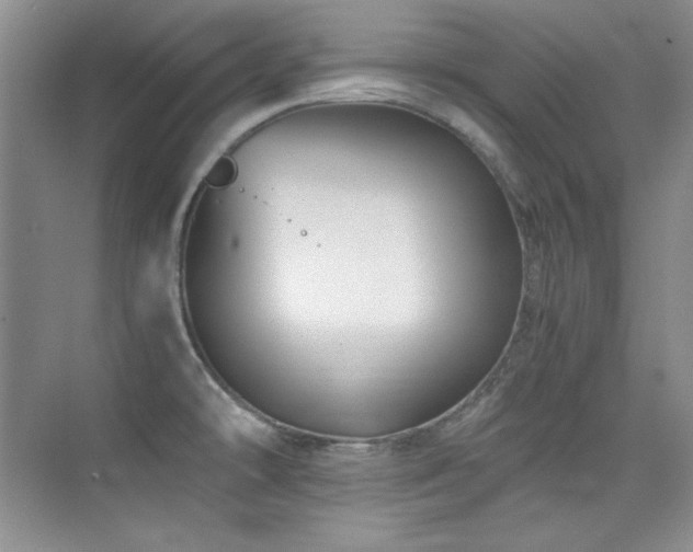 X0000076031478200609221041