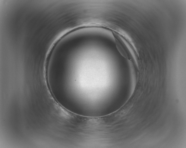 X0000076031480200609221041
