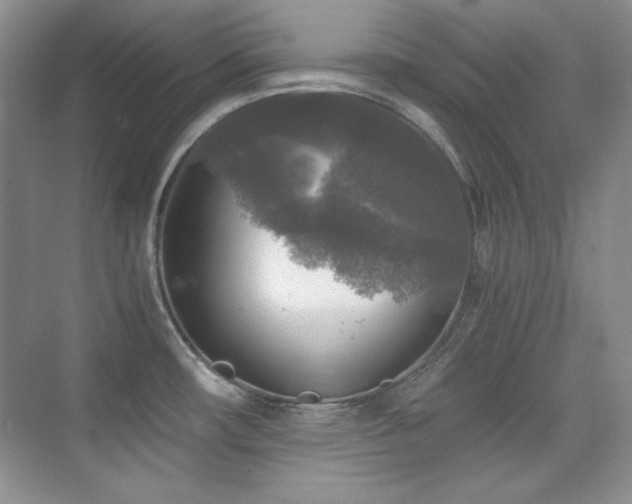 X0000076031482200609221041