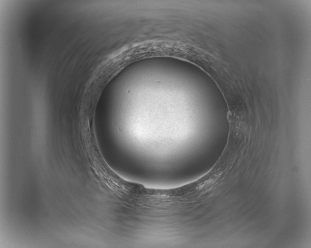 X0000076031489200609221040