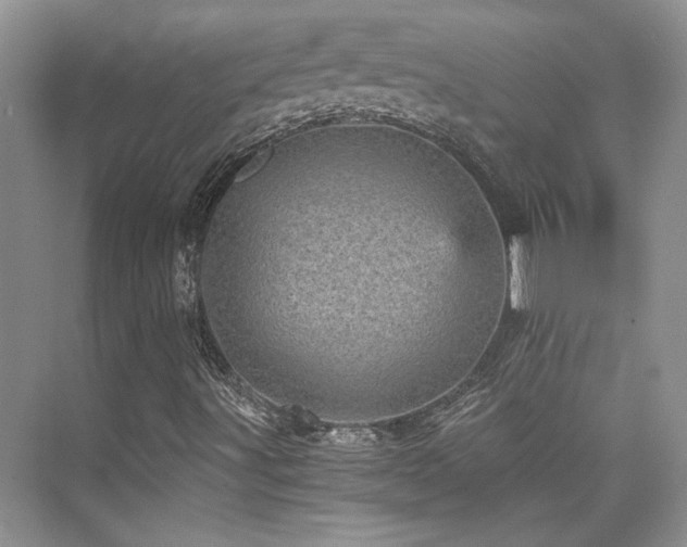 X0000076031491200609221040