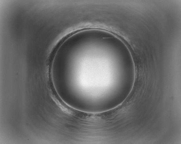 X0000076031503200609221040