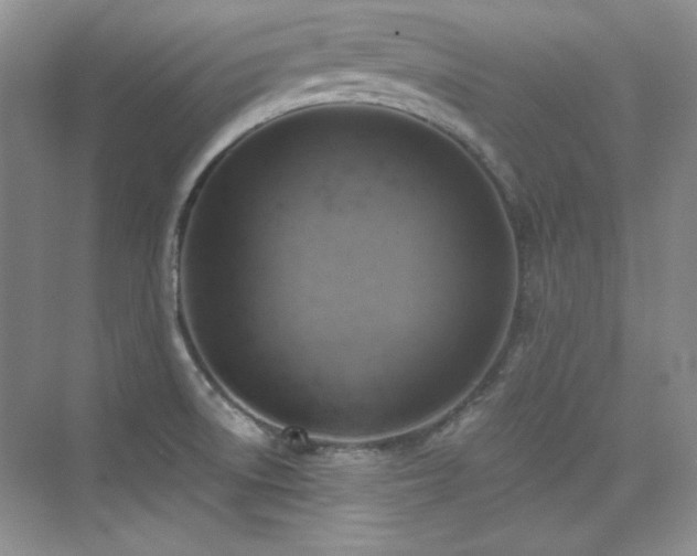X0000076031522200609221040