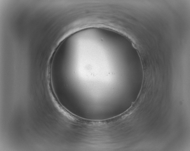 X0000076031526200609221040