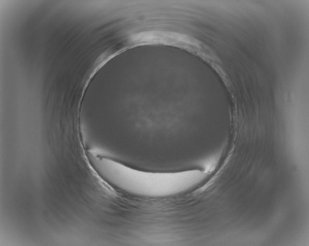 X0000076031529200609221040