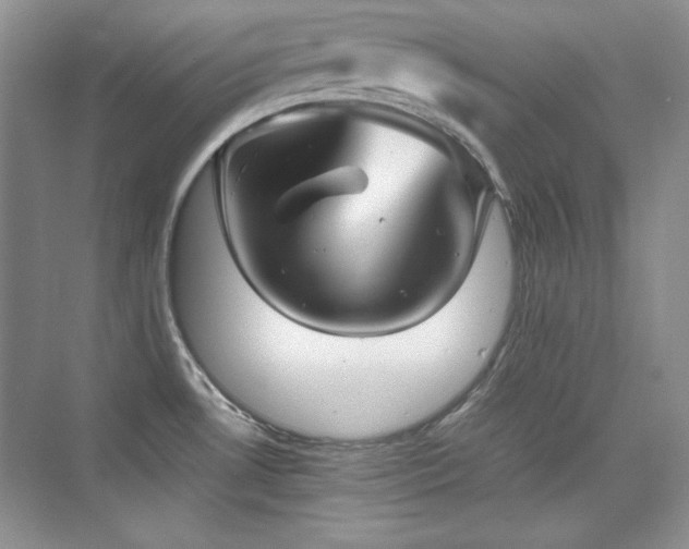 X0000076031530200609221040