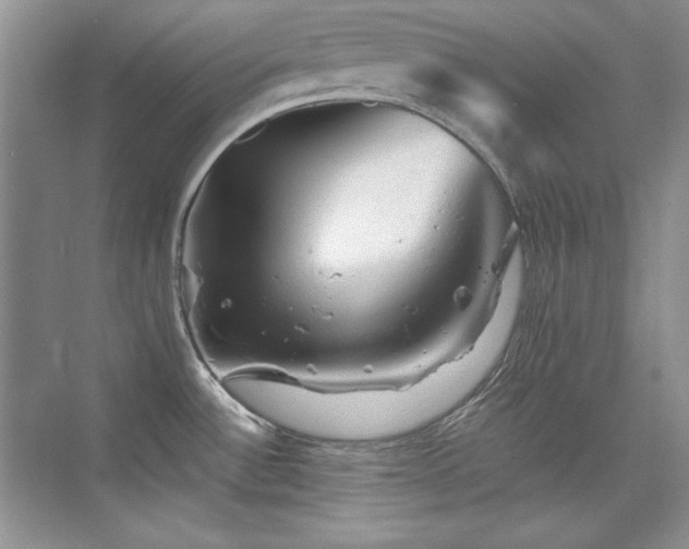 X0000076031532200609221040