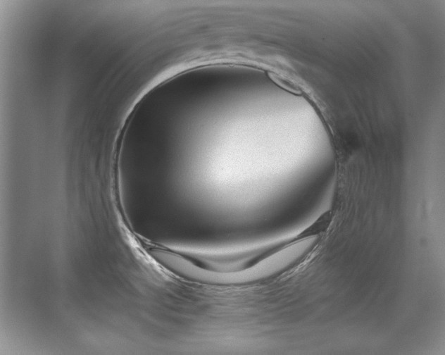 X0000076031534200609221040