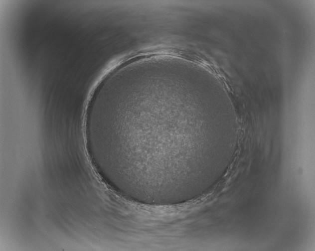 X0000076030006200609291010