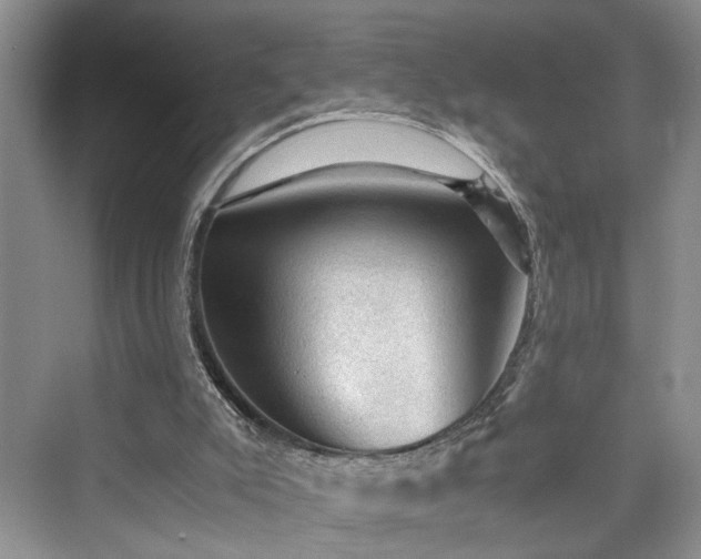 X0000076030007200609291010