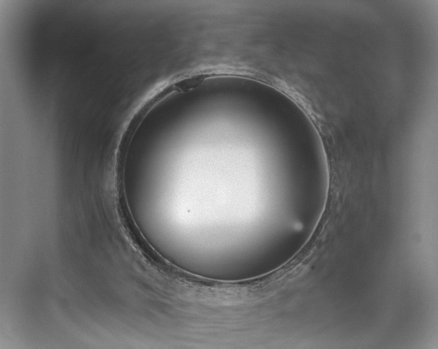 X0000076030008200609291010