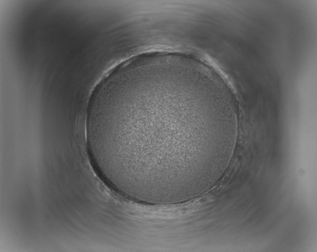 X0000076030011200609291010