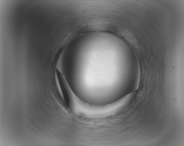 X0000076030021200609291010