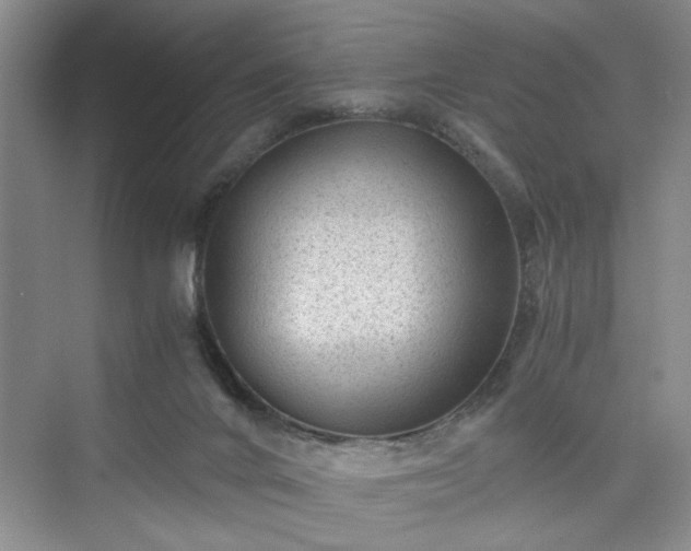 X0000076030024200609291010