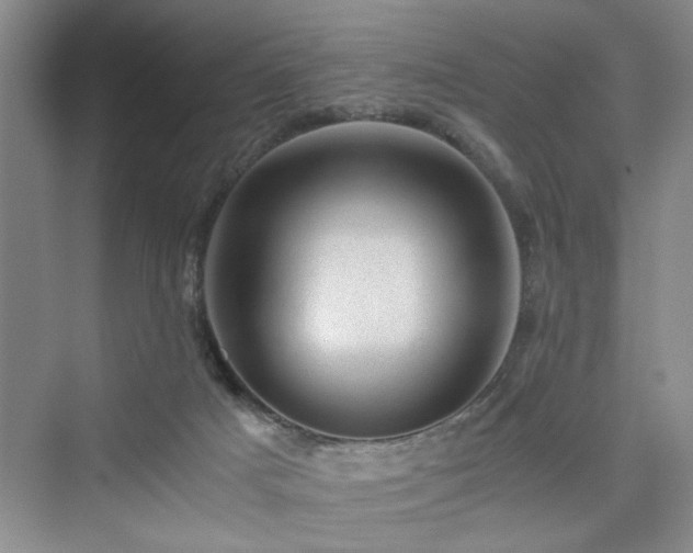 X0000076030025200609291010