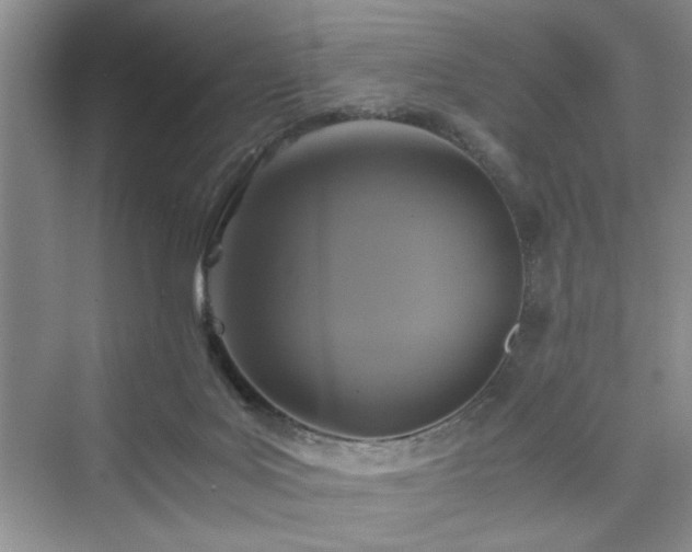 X0000076030027200609291010
