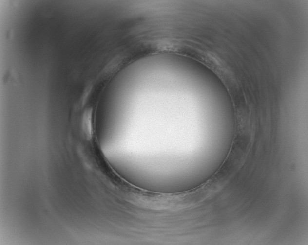 X0000076030028200609291010