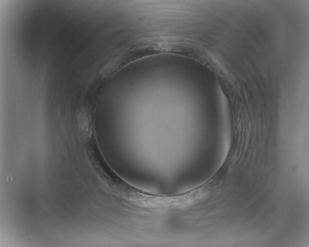 X0000076030031200609291010
