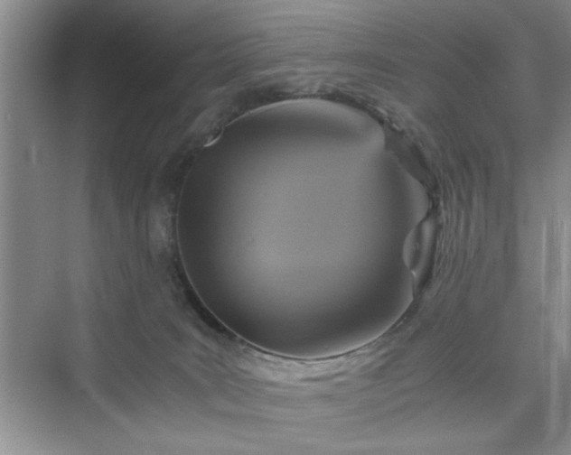 X0000076030035200609291010