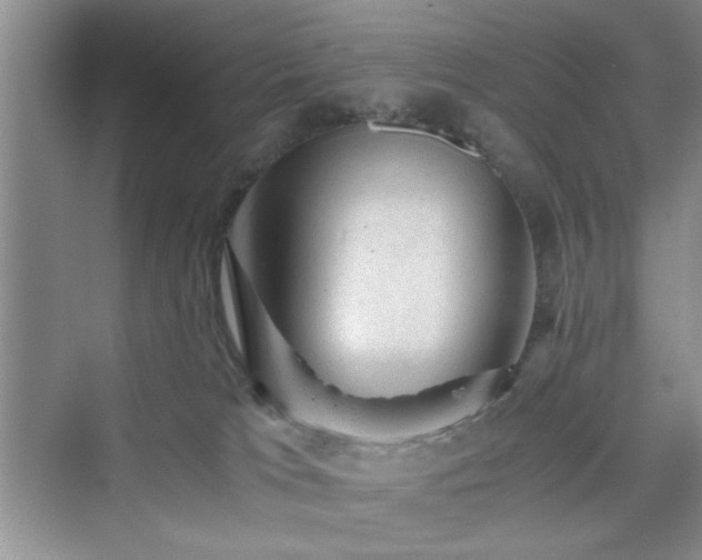 X0000076030037200609291010