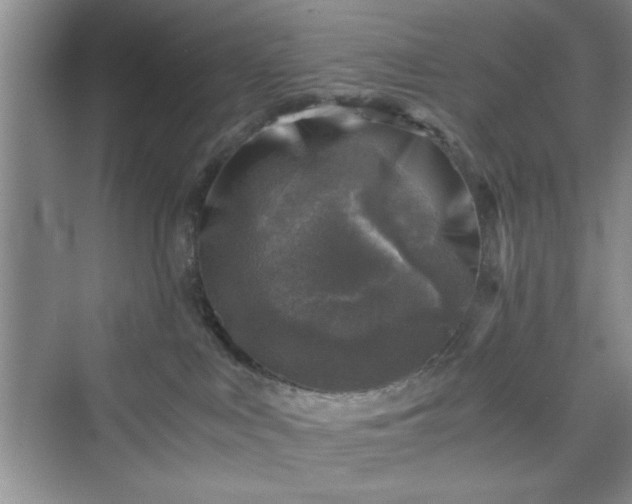 X0000076030043200609291010