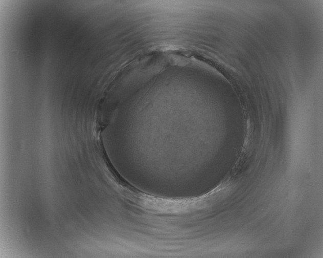 X0000076030048200609291009
