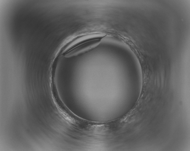 X0000076030054200609291009