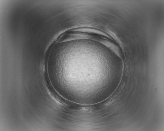 X0000076030060200609291009