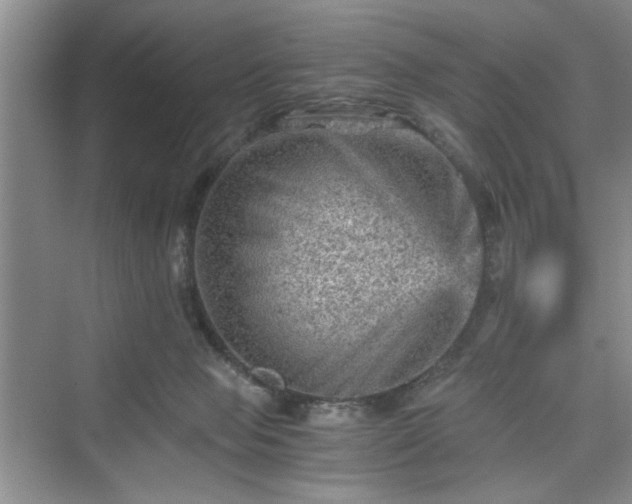 X0000076030077200609291009