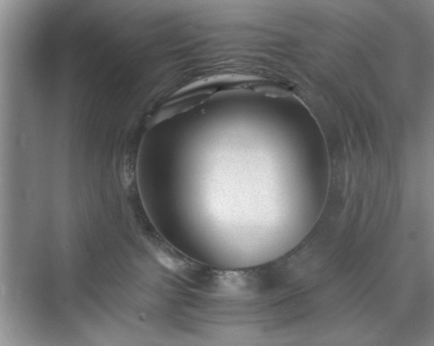 X0000076030091200609291009