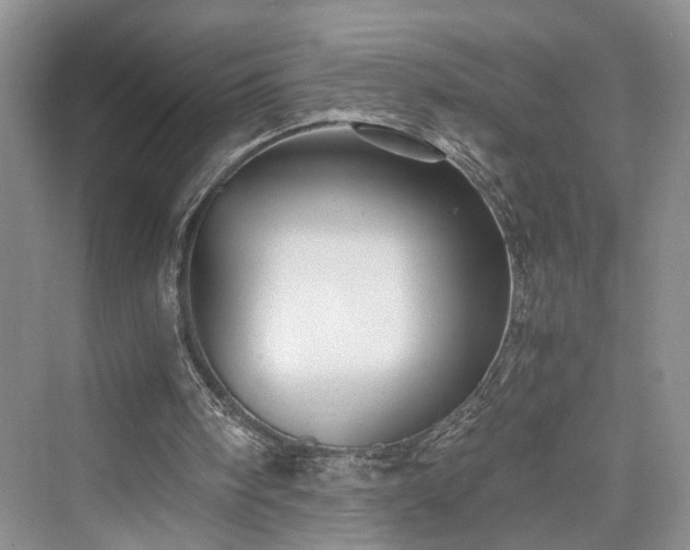 X0000076030098200609291009