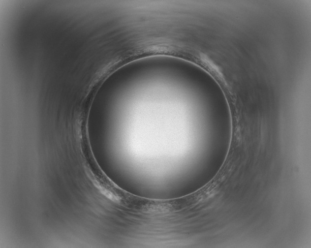 X0000076030106200609291008