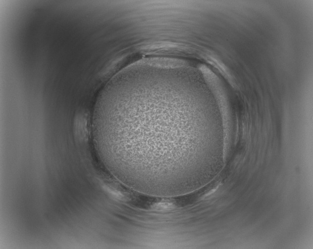 X0000076030119200609291008