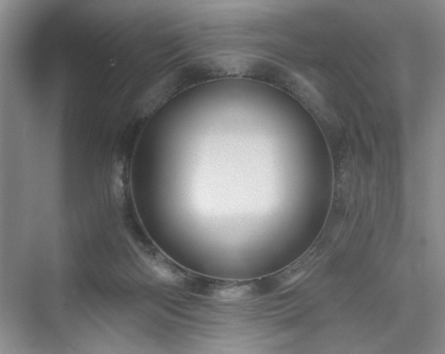 X0000076030122200609291008