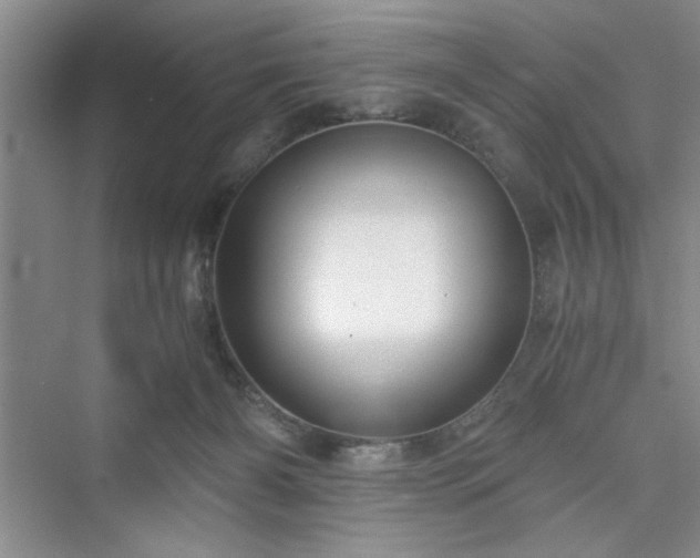 X0000076030126200609291008