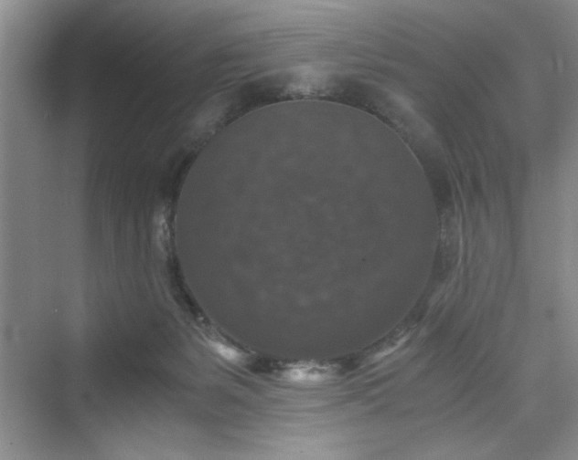 X0000076030127200609291008