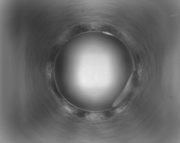 X0000076030129200609291008